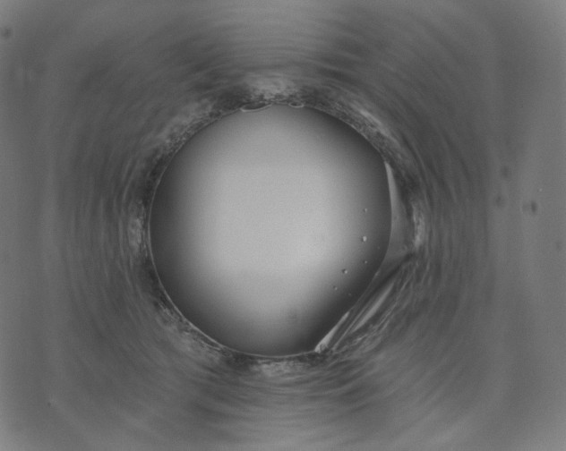 X0000070360417200606231627