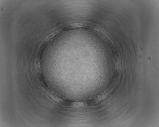 X0000070360418200606231627