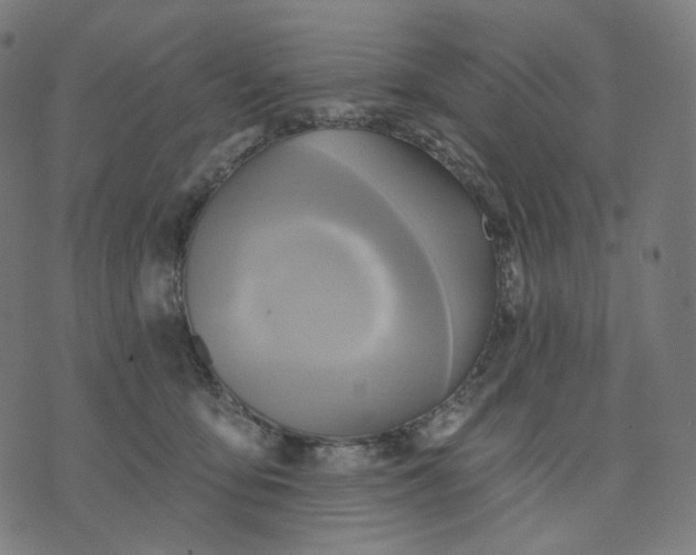 X0000070360419200606231627