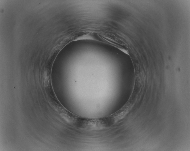 X0000070360420200606231627