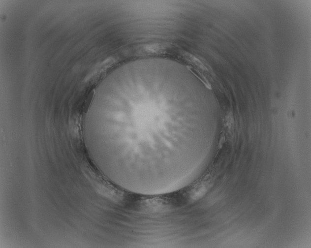 X0000070360423200606231627