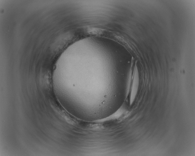 X0000070360424200606231627