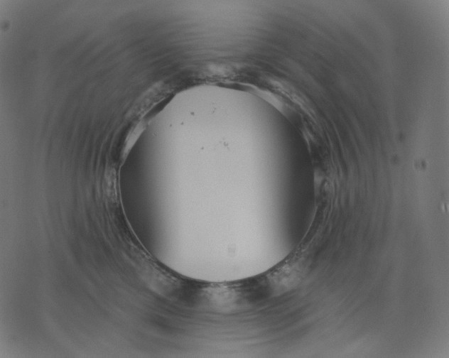 X0000070360425200606231627