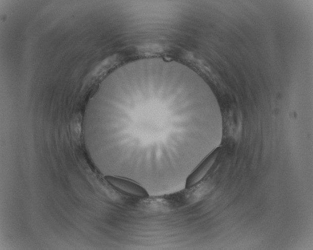 X0000070360427200606231627