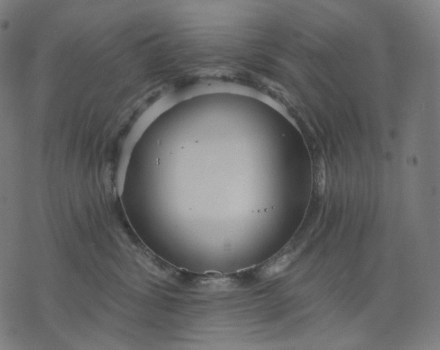 X0000070360428200606231627