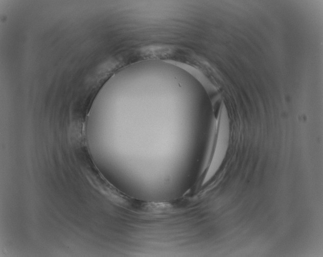 X0000070360429200606231627