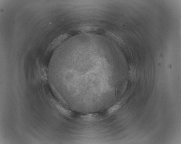 X0000070360430200606231627