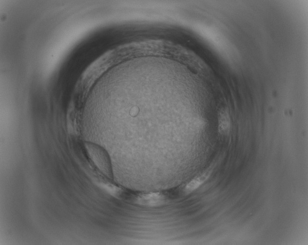 X0000070360431200606231627