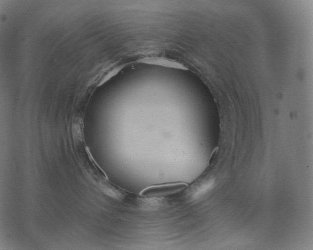 X0000070360432200606231627