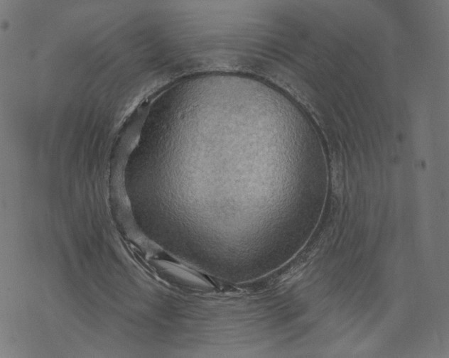 X0000070360434200606231626