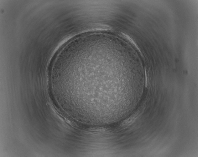 X0000070360435200606231626