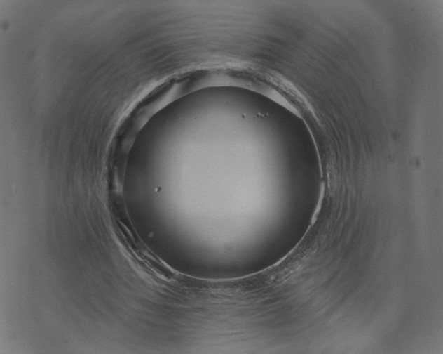 X0000070360436200606231626