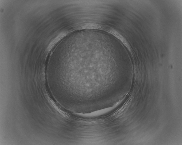 X0000070360437200606231626