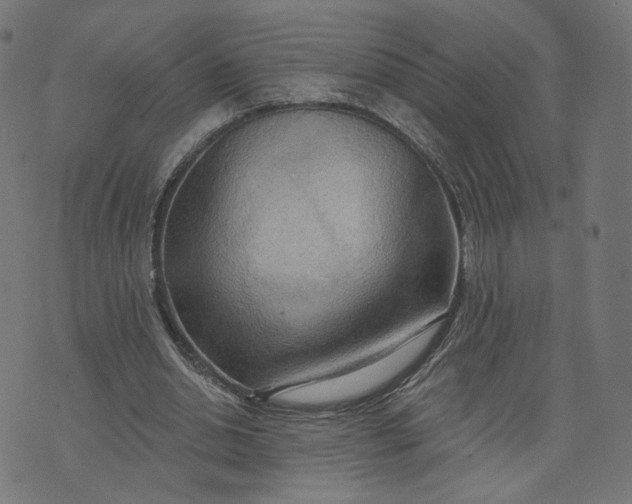 X0000070360438200606231626