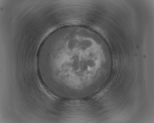 X0000070360439200606231626