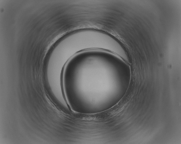 X0000070360440200606231626