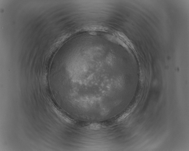 X0000070360441200606231626