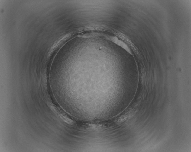 X0000070360442200606231626