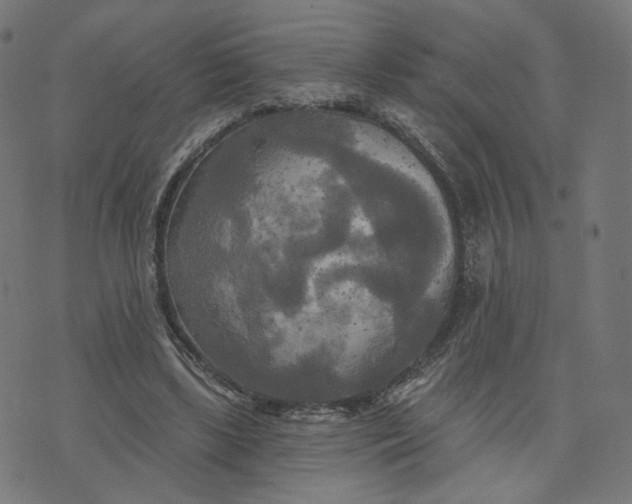 X0000070360443200606231626