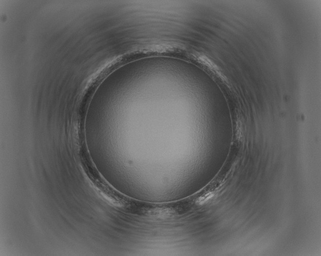 X0000070360444200606231626