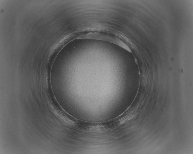 X0000070360446200606231626