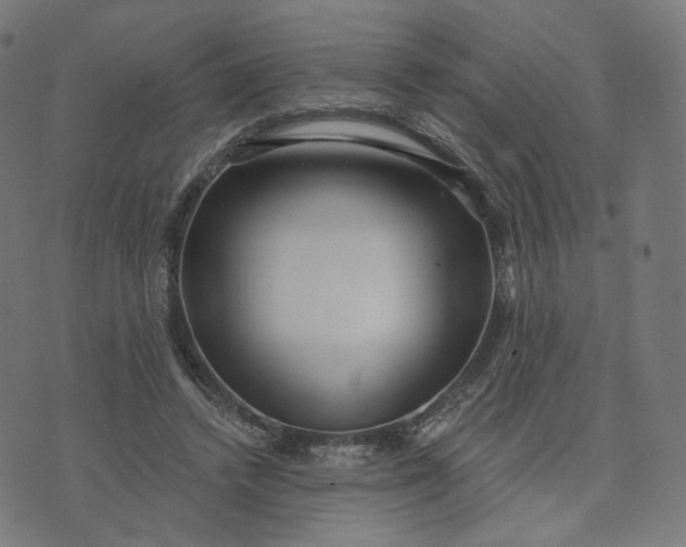 X0000070360448200606231626