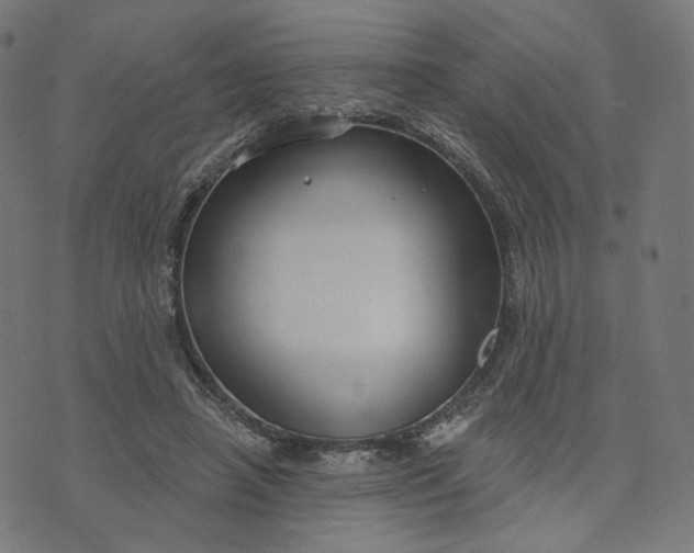 X0000070360450200606231626