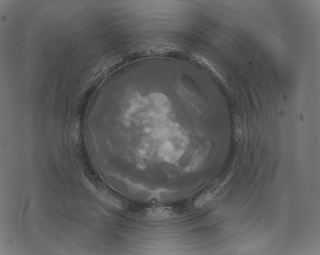 X0000070360451200606231626