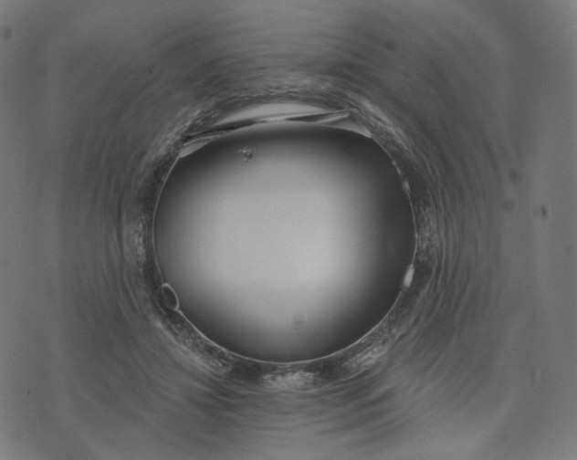 X0000070360452200606231626