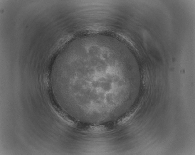 X0000070360455200606231626