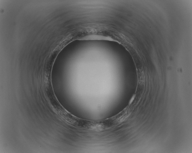 X0000070360456200606231626