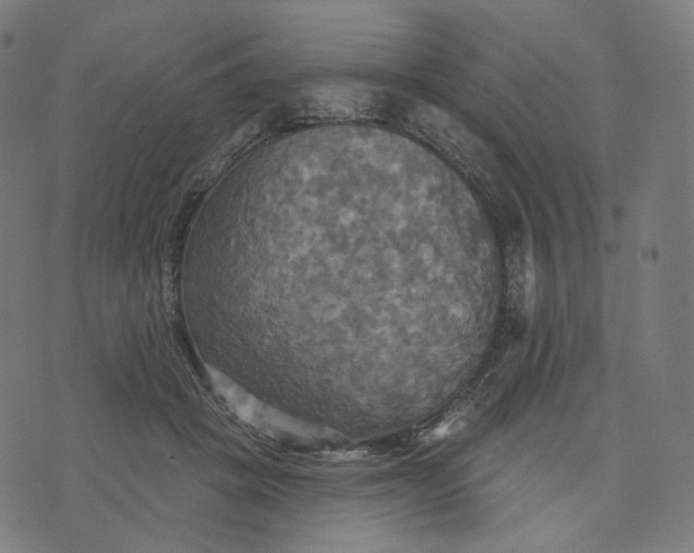 X0000070360457200606231626