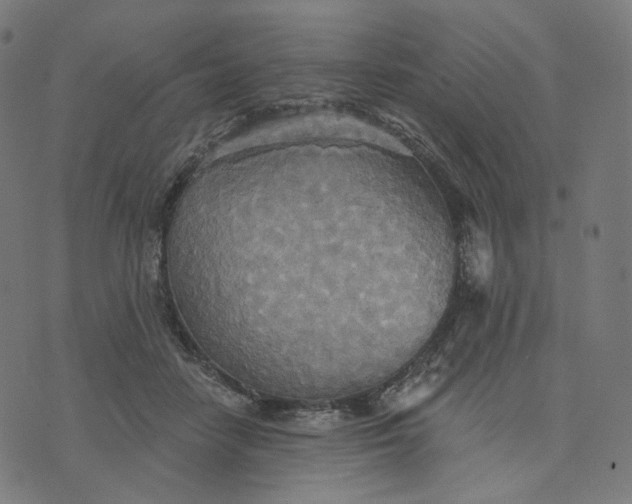 X0000070360458200606231626