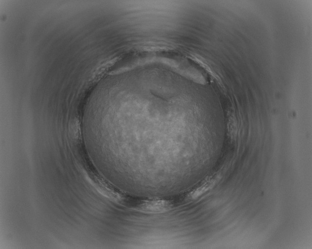 X0000070360459200606231626