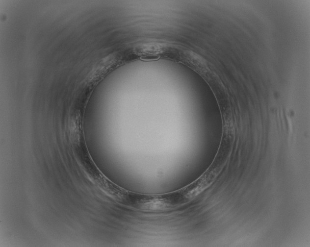 X0000070360460200606231626