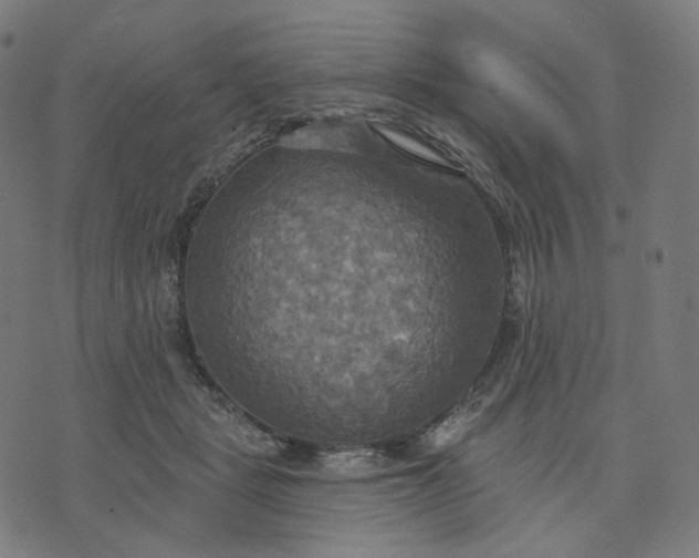 X0000070360461200606231627