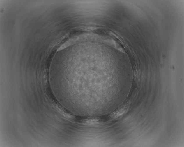 X0000070360462200606231627