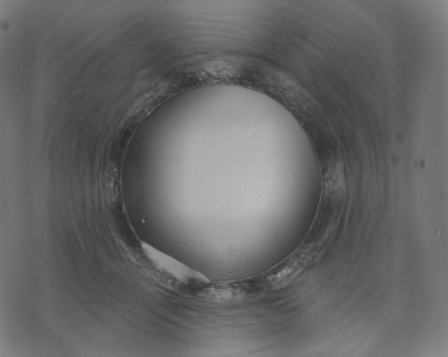 X0000070360464200606231627