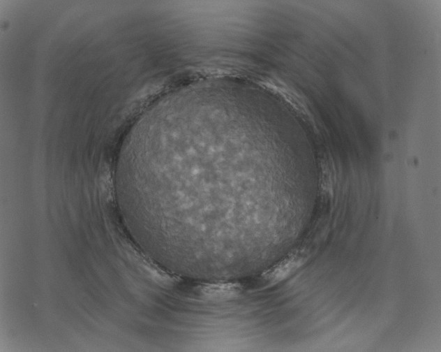 X0000070360465200606231627