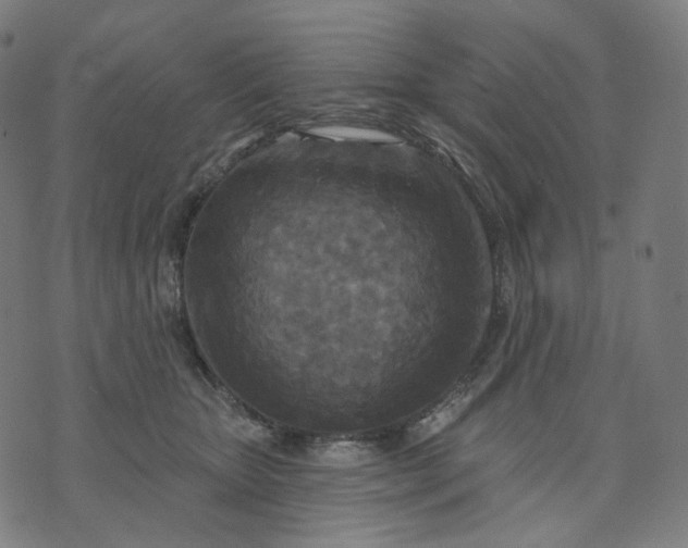 X0000070360467200606231627