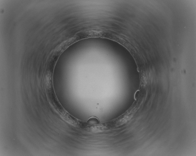 X0000070360468200606231627