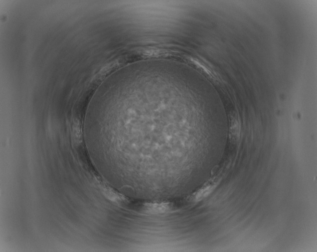 X0000070360469200606231627