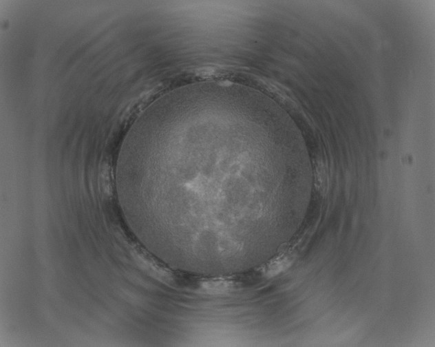 X0000070360470200606231627