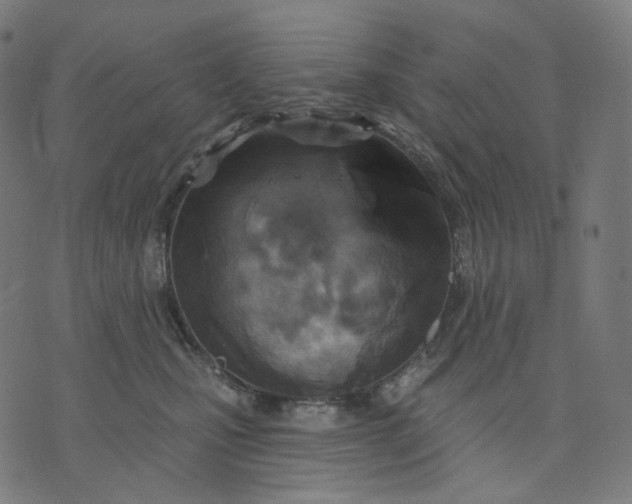 X0000070360471200606231627