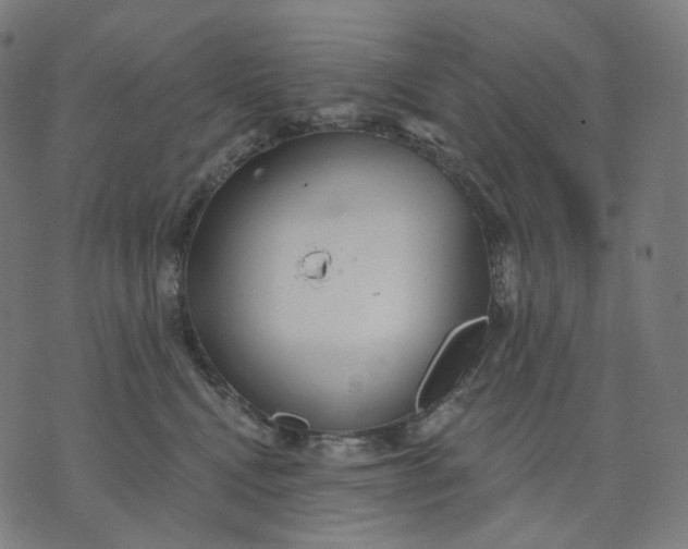 X0000070360472200606231627