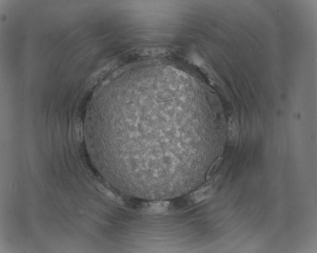 X0000070360474200606231627