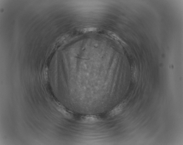 X0000070360475200606231627