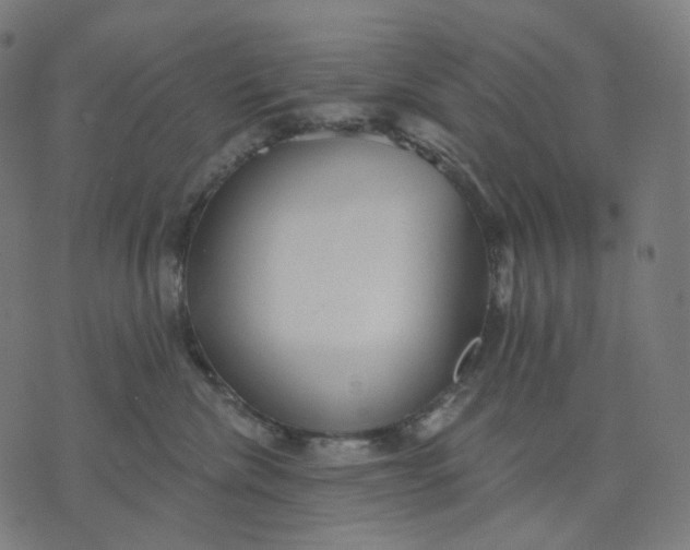 X0000070360476200606231627