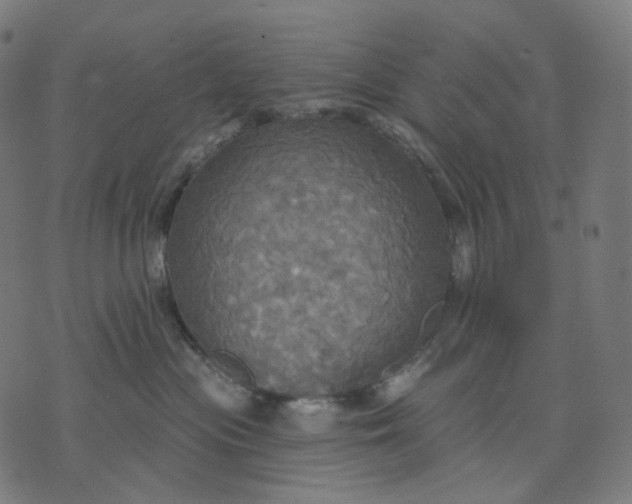 X0000070360477200606231627