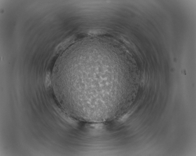 X0000070360478200606231627